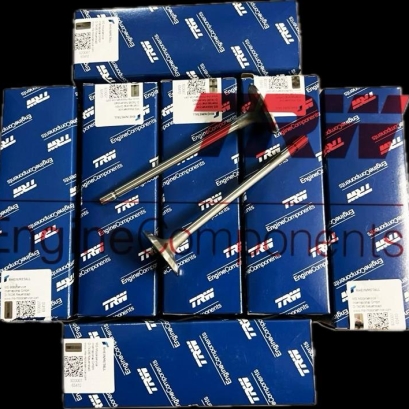 سوپاپ رنو ال نود اصلی برند TRW